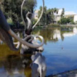 Meet your Posher, Terry